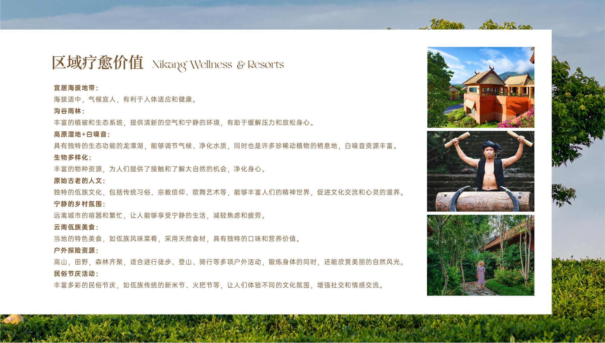 378d4ea08b544713b31f77ee7f18d6d8.png