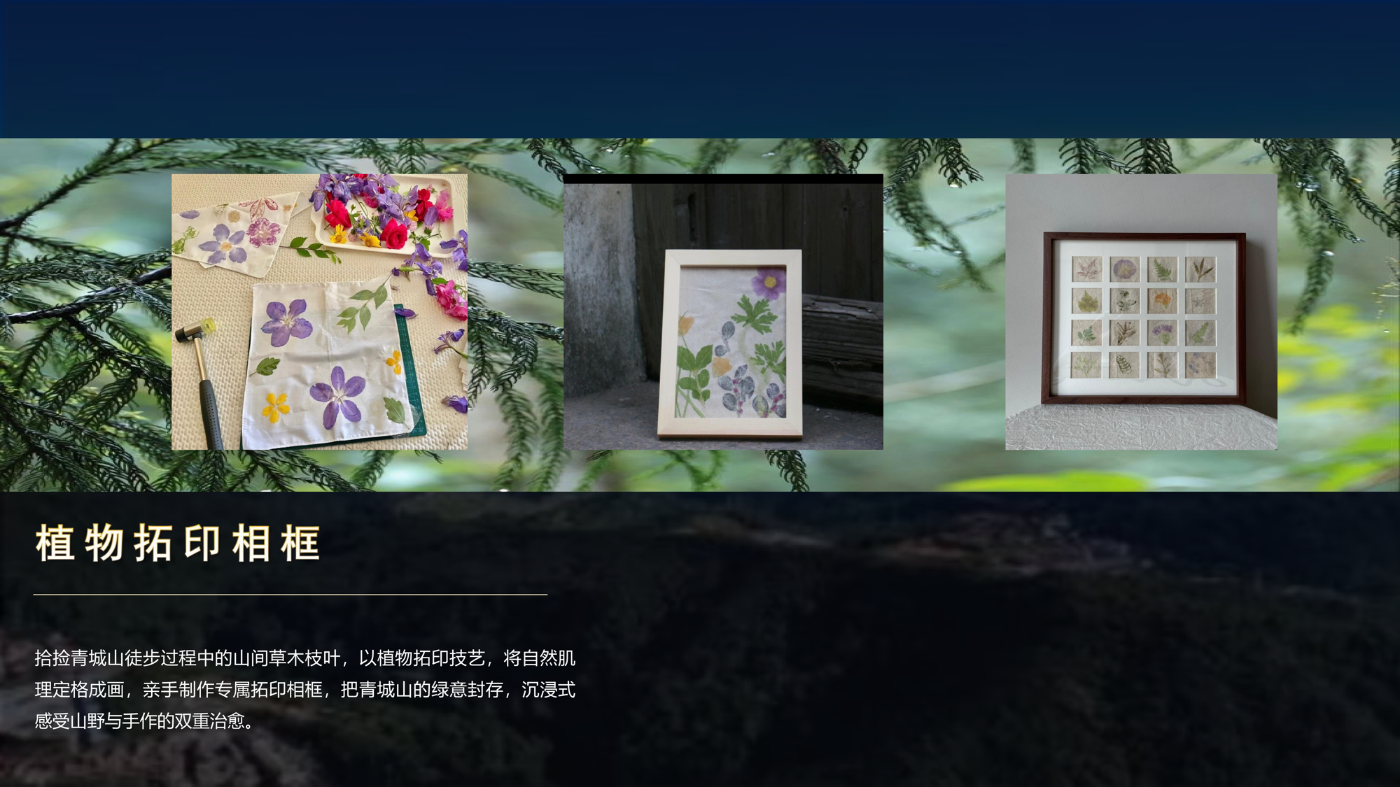 43f188786ce64c0b8331996dd3797575.png