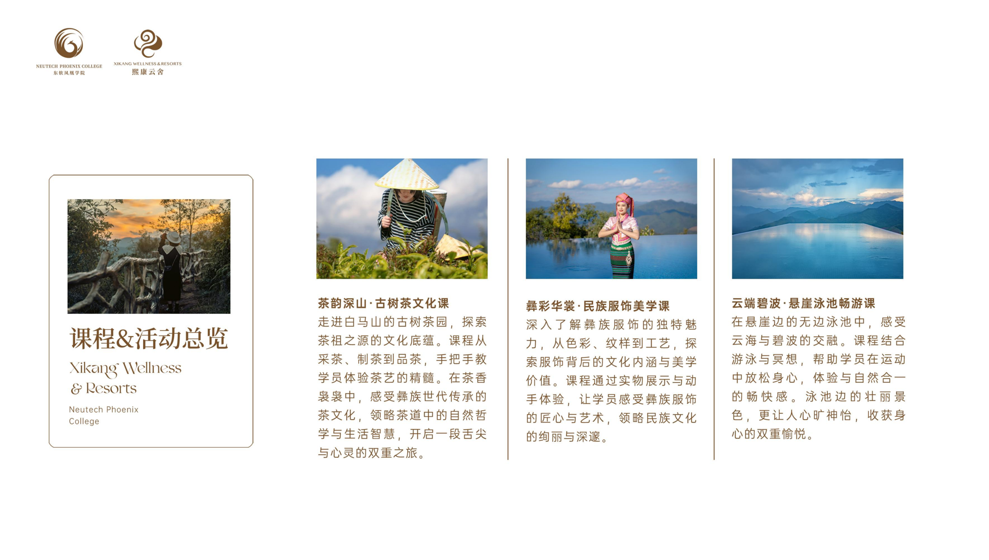 92ec08120c22418eacc072cb5e166cf8.png