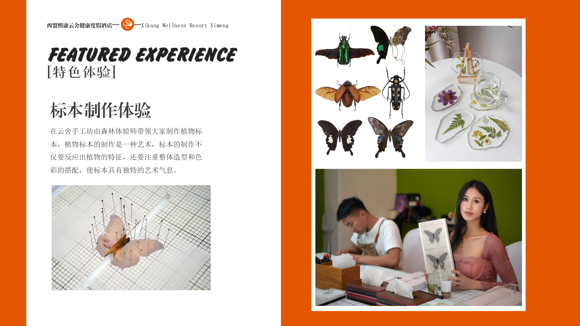 a10bfa43873a460797e3f9b117592cab.png