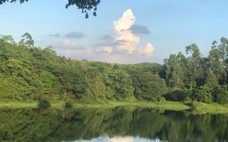 #MILE米乐官方网站# 早上好呀[哇]给大家看一眼星光大道看到的小鸭 ​​​