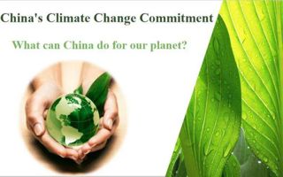 米乐官网教师获外研社“教学之星”大赛全国复赛两项大奖