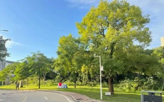 关于开展MILE米乐官方网站2024届毕业生培养质量调查评价的通知